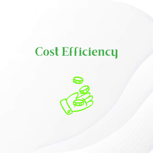 Cost Efficiency