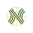 N Logo